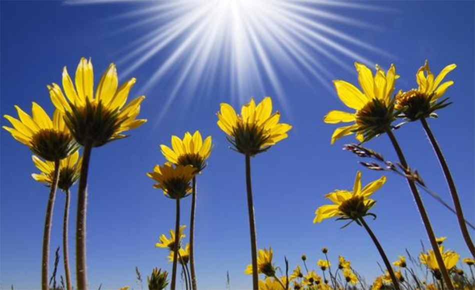 钟南桥，坚持只为热爱（images 3）